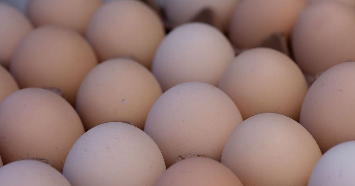 A closeup image of fresh organic eggs in a carton, showcasing their natural colors and textures.