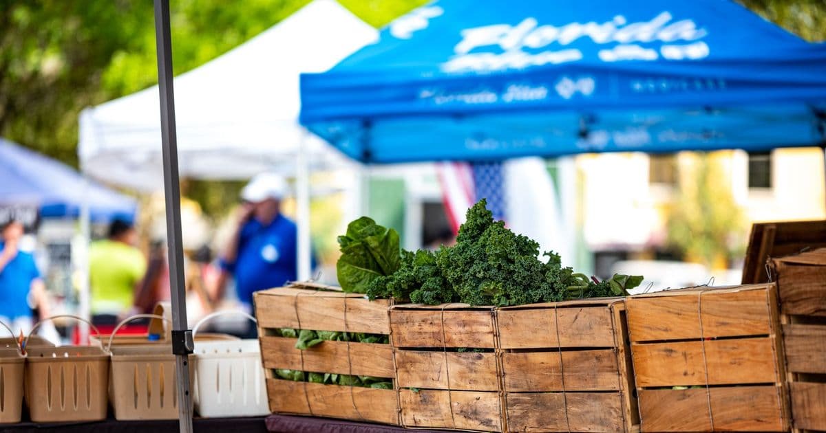 Explore a vibrant farmers' market with fresh kale and greens under blue tents.