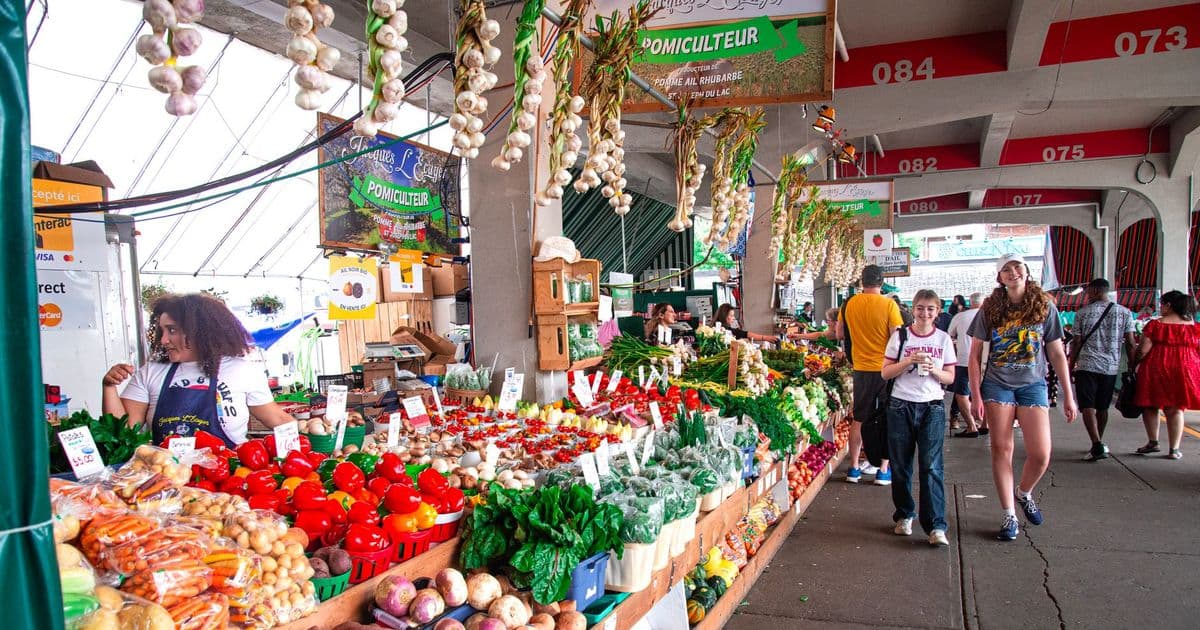 Colorful farmers market scene with a variety of fresh vegetables and shoppers exploring the stalls.