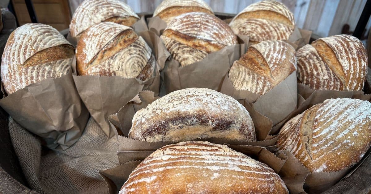 A collection of artisan sourdough loaves displayed in a rustic bakery setting.