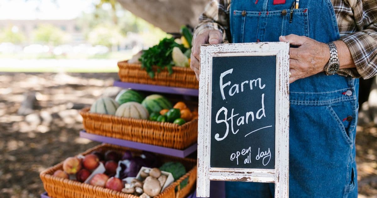A farm stand showcases fresh fruits and vegetables in baskets, with a welcoming sign and rustic aesthetic.